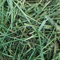Heno Pasto Timothy Hay Kaytee 680 G 24 Oz Conejo, Chinchilla