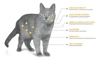 Alimento Para Gato Nupec Felino Digestive Health 1.5kg