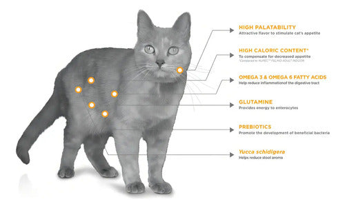 Alimento Para Gato Nupec Felino Digestive Health 1.5kg
