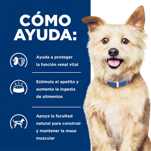 Alimento Hill's Prescription Diet Kidney Care Canine K/d Para Perro Adulto Todos Los Tamaños Sabor Pollo