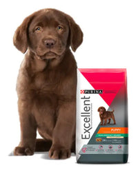Excellent Cachorro Razas Medianas Y Grandes 1.5 Kg