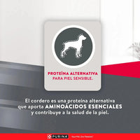 Excellent Adulto Todas Las Razas Cordero Y Arroz De 20 Kg