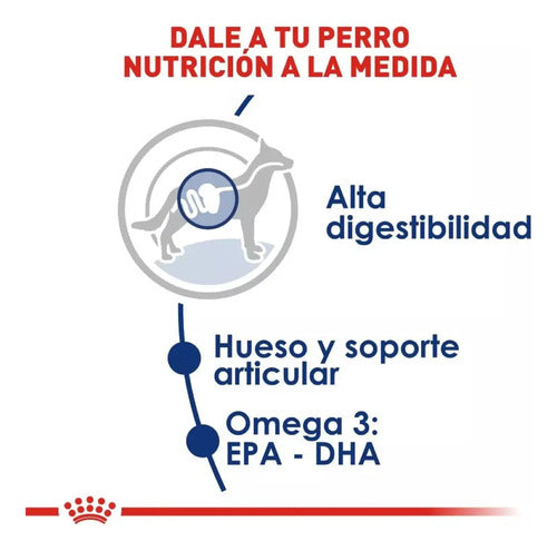 Royal Canin Perro Adulto Maxi Large 7.72 Kg. (17 Lb.)