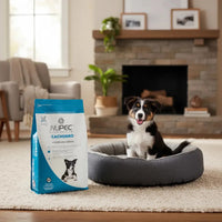 Alimento Nupec Nutrición Científica Para Perro Cachorro De Raza Mediana Y Grande Sabor Mezcla
