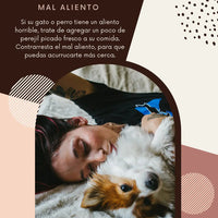 Advantix Pipeta Antipulgas Y Garrapatas Perros 10-25 Kg