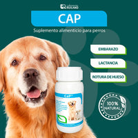 Ca-p Ruiland Vitaminas Minerales De Calcio Y Fósforo Suplemento Para Perros Frasco 60