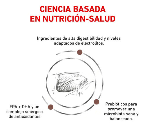 Alimento Royal Canin Veterinary Diet Feline Gastrointestinal (gi 32) Para Gato Adulto Todos Los Tamaños Sabor Mezcla
