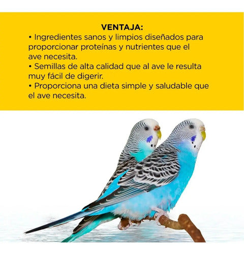 Alimento Premium Para Periquitos Kaytee Forti-diet 907 G