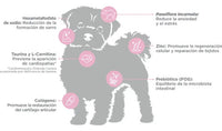 Alimento Para Perro Nupec Adulto Razas Mini 3kg