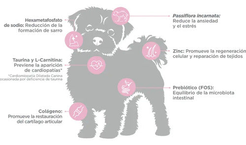 Alimento Para Perro Nupec Adulto Razas Mini 3kg