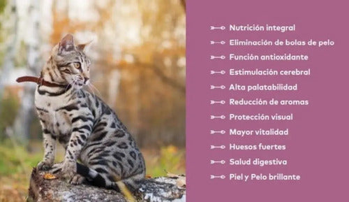 Back 2 Nature Feline Holístico Fórmula C/rana, Pavo Y Salmón