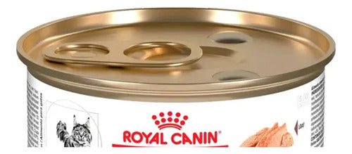 1 Lata Alimento Royal Canin Gastrointestinal Para Gato 145 G