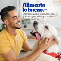 Pedigree - Sobres Para Perro, Raza Pequeña, Sabor Res En Filetes, Con Ingredientes Naturales, Proteínas Y Fibra, 24 Sobres, 100g C/u