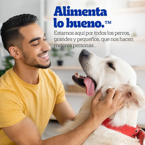 Pedigree - Sobres Para Perro, Raza Pequeña, Sabor Res En Filetes, Con Ingredientes Naturales, Proteínas Y Fibra, 24 Sobres, 100g C/u