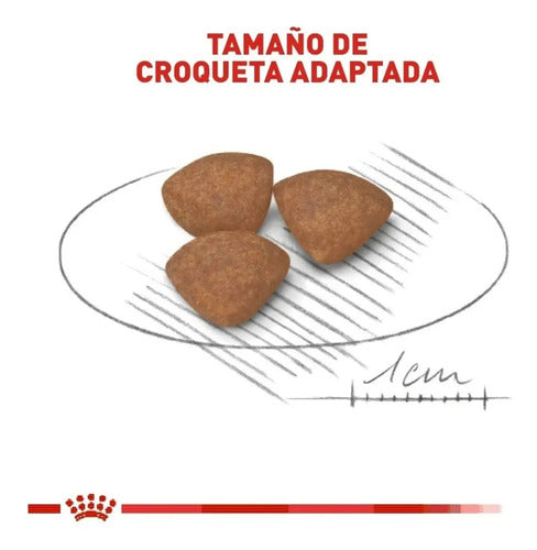 Mini Puppy Royal Canin 5.9 Kg - Alimento Para Cachorro - Nuevo Original Sellado