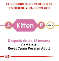 Royal Canin Persian Kitten 1.3kg