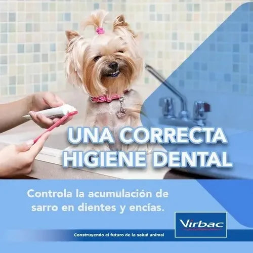 Pasta De Dientes Perro Gato Virbac C.e.t Menta Incluye Cepillo 70g