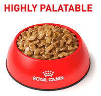 Alimento Royal Canin Veterinary Diet Canine Renal Support D Para Perro Adulto Todos Los Tamaños Sabor Mezcla