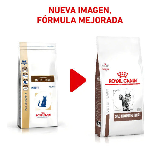 Alimento Royal Canin Veterinary Diet Feline Gastrointestinal (gi 32) Para Gato Adulto Todos Los Tamaños Sabor Mezcla