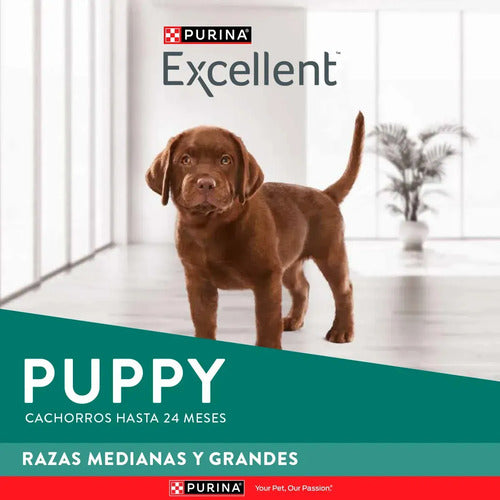Croquetas Para Perro Cachorro Sabor Pollo Y Arroz 20kg Purina® Excellent®
