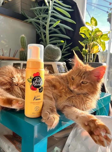 Pet Head Shampoo Seco Sin Enjuague Para Gato 200ml Limonada Fresa Lemonberry
