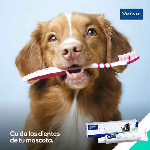 Pasta De Dientes Perro Gato Virbac C.e.t Menta Incluye Cepillo 70g
