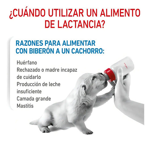 Leche Royal Canin Para Cachorro Baby Dog 400g