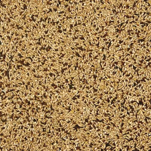 Alimento Kaytee Premium Supreme Canario Y Finch 907g