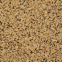 Alimento Kaytee Premium Supreme Canario Y Finch 907g