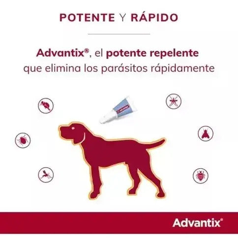 Advantix Pipeta Antipulgas Y Garrapatas Perros 10-25 Kg