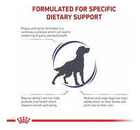 Alimento Royal Canin Veterinary Diet Canine Dental Care 8kg