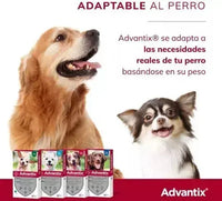 Advantix Pipeta Antipulgas Y Garrapatas Perros 10-25 Kg