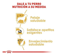 Royal Canin Yorkshire 1.1 Kg Sellado