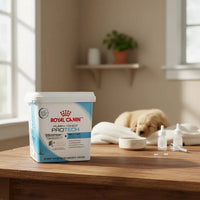 Leche Royal Puppy Protech 300grs