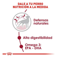 Royal Canin Medium Adult Perro Adulto 1.82 Kg Alimento