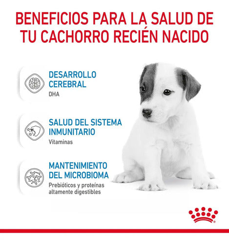 Royal Canin Breed Health Nutrition Leche Para Cachorro 2kg