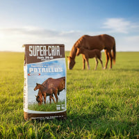 Super Cria Potrillos 10 Kg Substituto De Leche Para Caballo