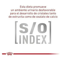 Alimento Royal Canin Veterinary Diet Feline Gastrointestinal (gi 32) Para Gato Adulto Todos Los Tamaños Sabor Mezcla