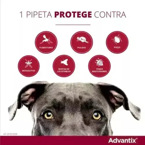 Advantix Pipeta Antipulgas Y Garrapatas Perros 10-25 Kg