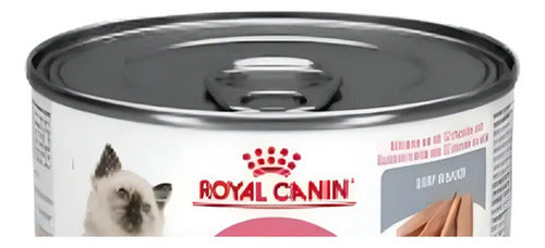 1 Lata Alimento Royal Canin Kitten 145 G