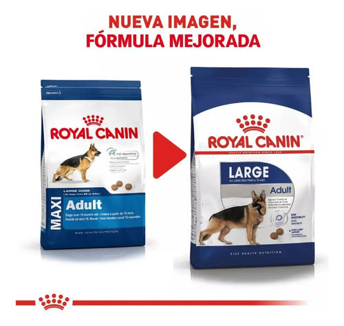 Royal Canin Perro Adulto Maxi Large 7.72 Kg. (17 Lb.)
