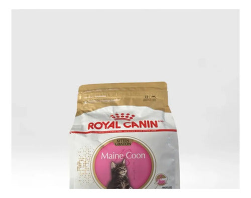 Royal Canin Maine Coon Kitten Gato 1.37 Kg Alimento