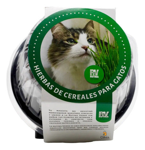 Hierbas De Cereales Para Gato Golden Dog