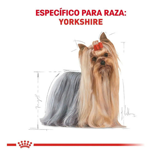 Royal Canin Yorkshire 1.1 Kg Sellado