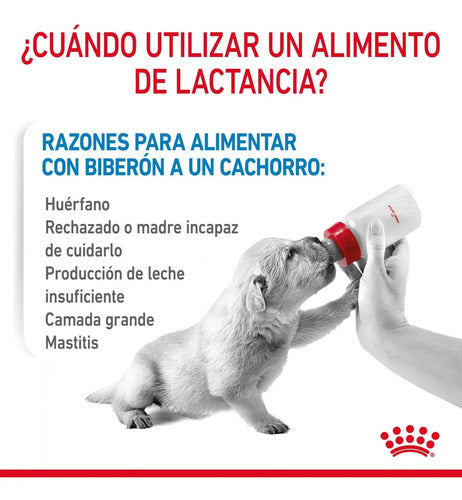 Royal Canin Breed Health Nutrition Leche Para Cachorro 2kg