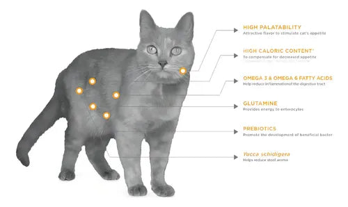 Nupec Felino Digestive Health 3kg | Salud Intestinal