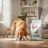 Alimento Royal Canin Glycobalance Canine 3 Kg