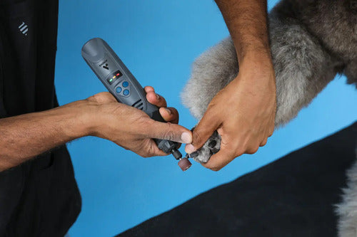 Cortaúñas Eléctrico Andis Modelo Dng-1 Gris Oscuro Mediano