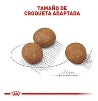 Royal Canin Maxi Puppy 15.9 Kg Sellado