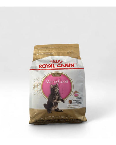 Royal Canin Maine Coon Kitten Gato 1.37 Kg Alimento